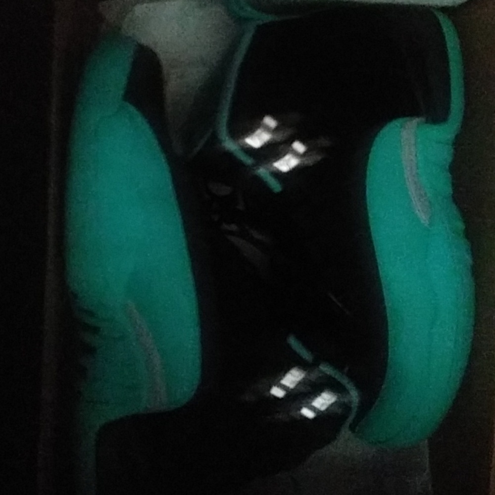 Air Jordan 12